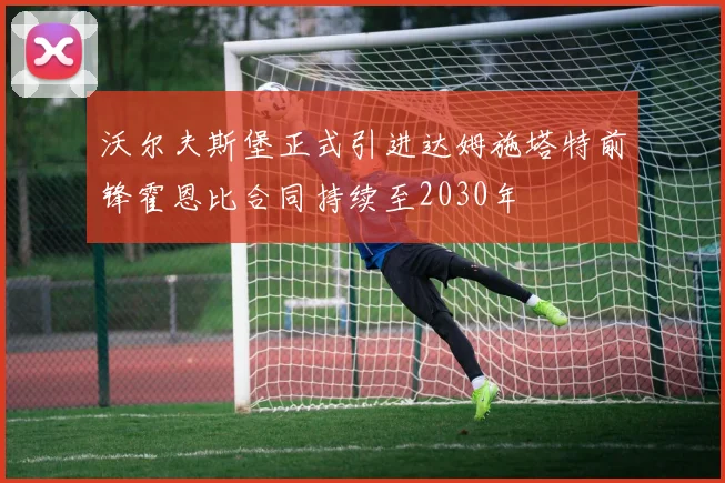 沃尔夫斯堡正式引进达姆施塔特前锋霍恩比合同持续至2030年